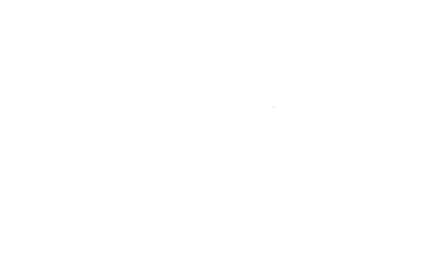Infinova Logo